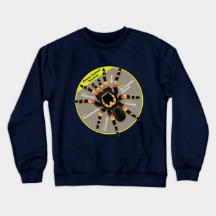 Tarantula Crewneck Sweatshirt